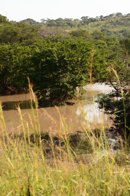 2015-05 South Africa/iMfolozi/DSC_0049.JPG